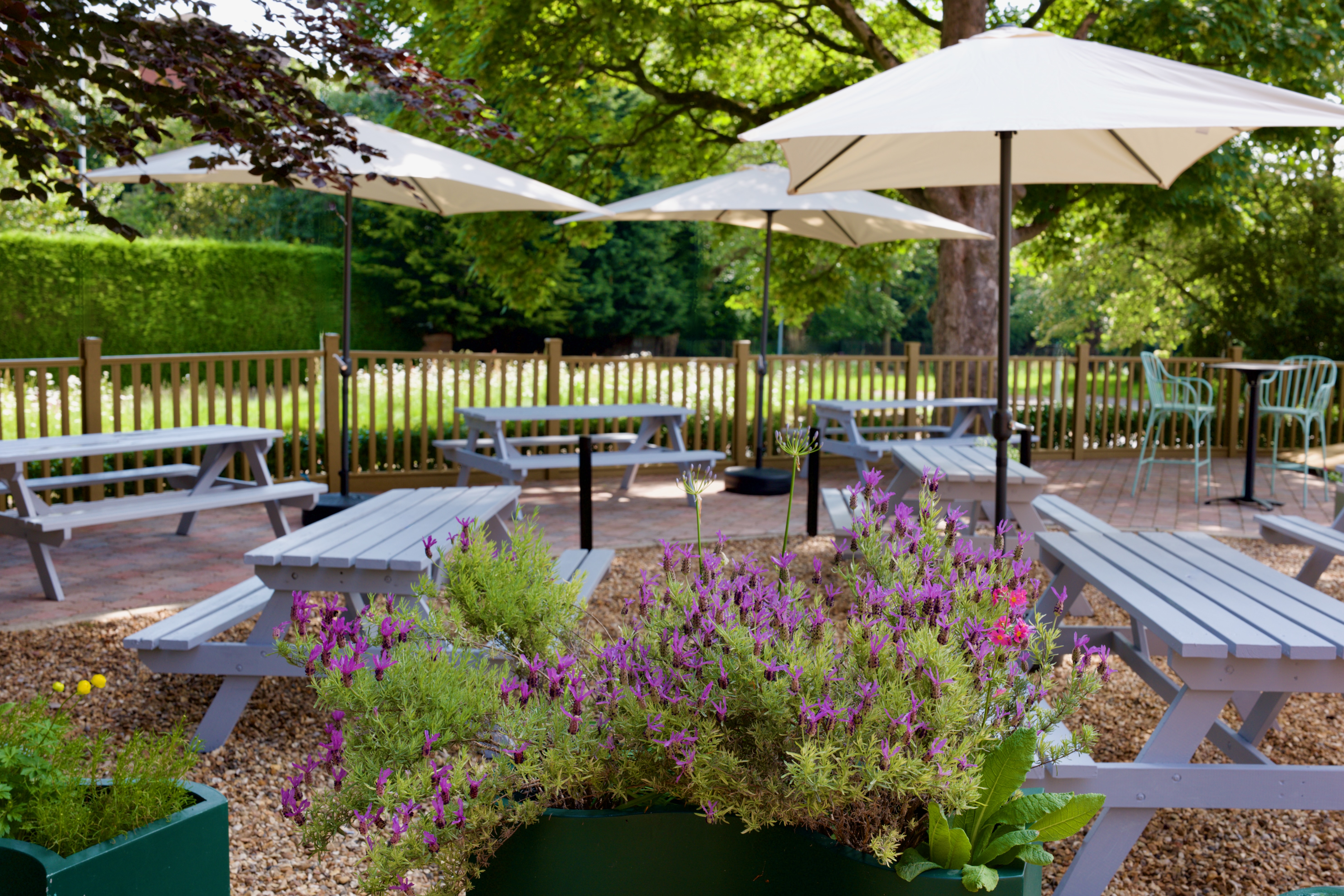 Function Suite - 35udjlhk3vf.jpeg