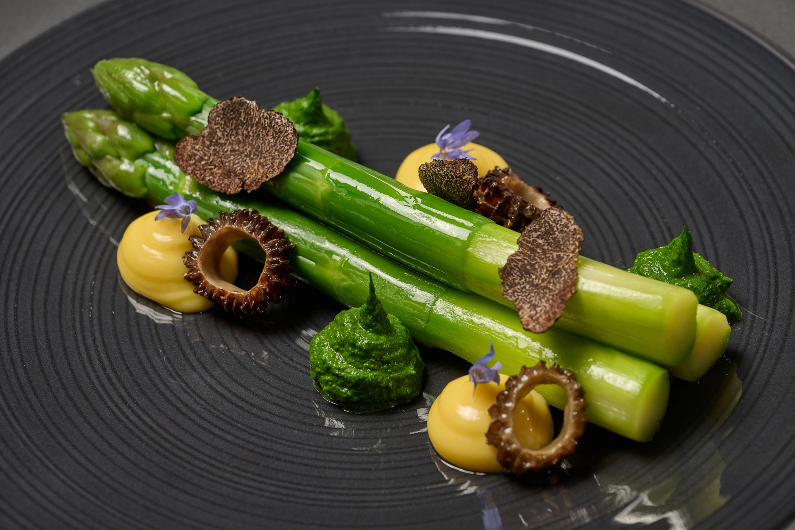 The Conservatory - f5iit4z5xgb.jpg