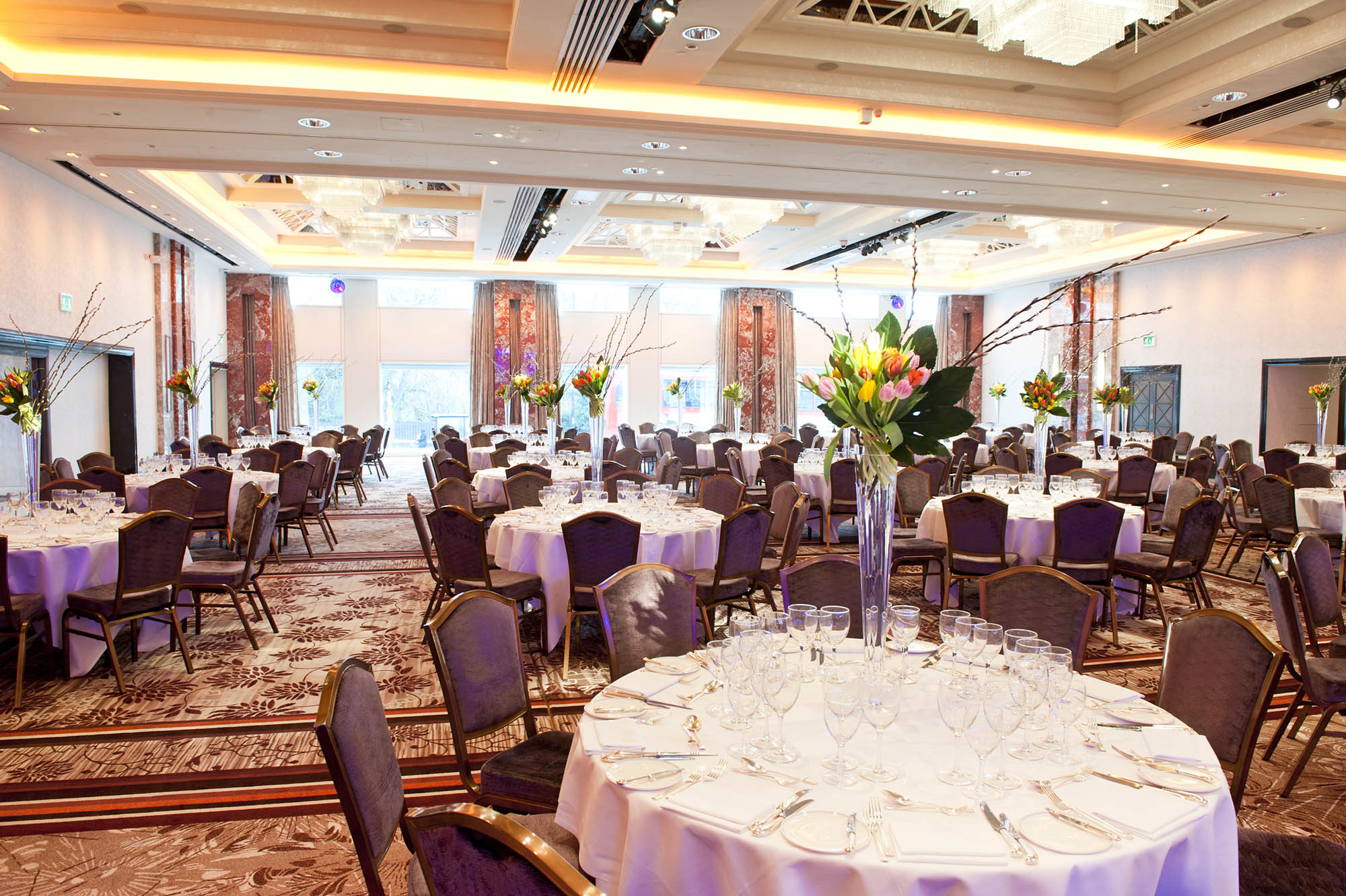 Nine Kings Suite - 0udy1rhgtfp.jpg