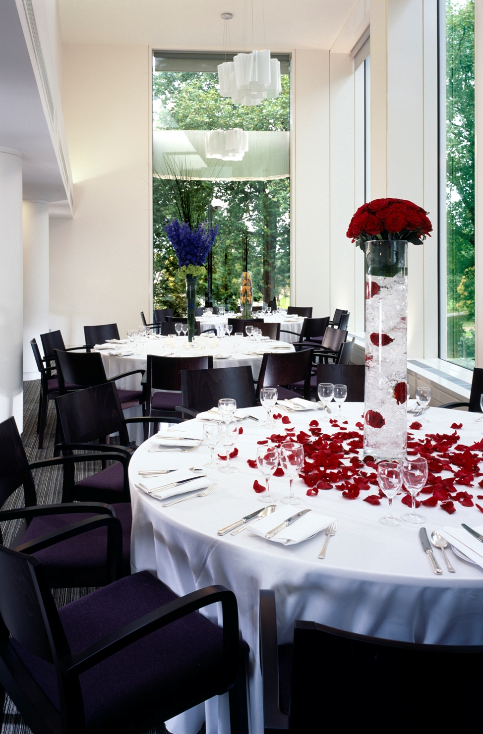 Park Room - hcjc5auaihf.jpg