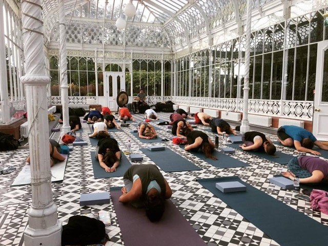 Yoga session in glass conservatory at Horniman Museum, perfect for wellness retreats.