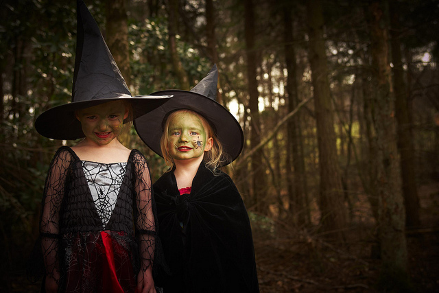 Forest Pavilion - cbnauwucajw.jpg